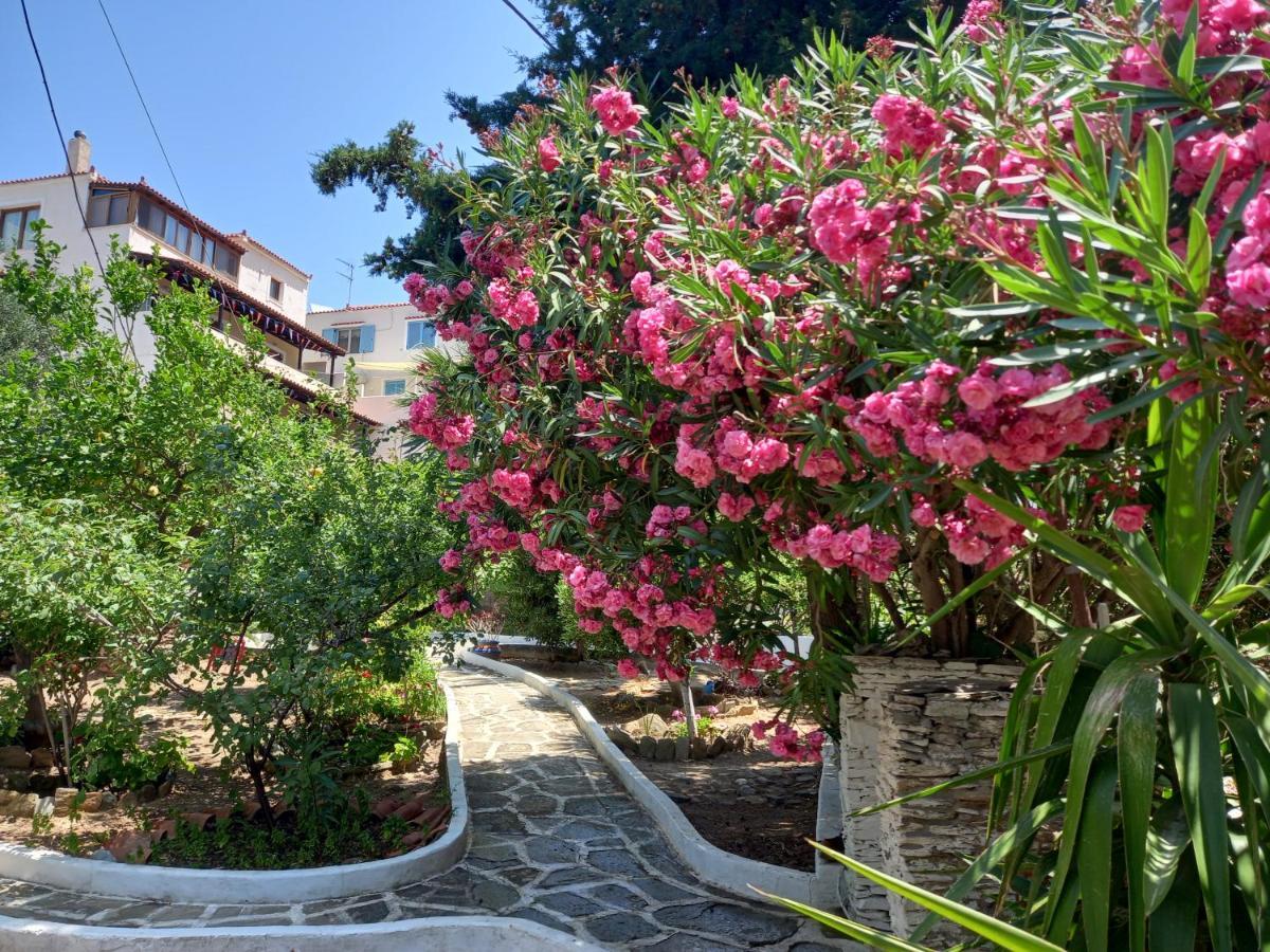 Villa Rena Баци Екстериор снимка